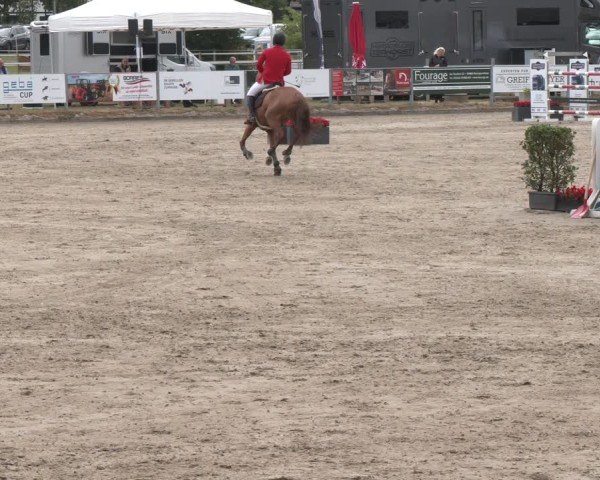 Reitturnier Langenfeld 2025