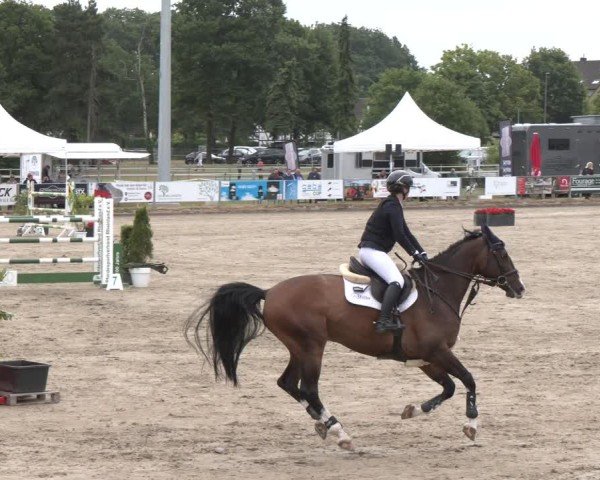 Reitturnier Langenfeld 2025