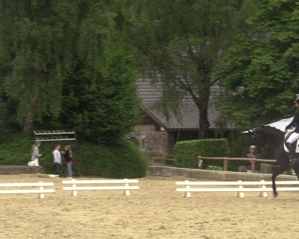 Reitturnier Schwerte-Gut Kückshausen 2025