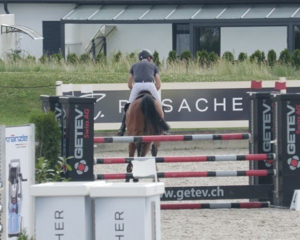 Reitturnier Babenhausen/Schw. 2025