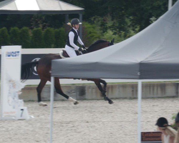 Reitturnier Babenhausen/Schw. 2025