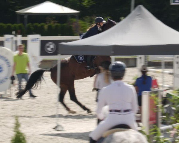 Reitturnier Babenhausen/Schw. 2025