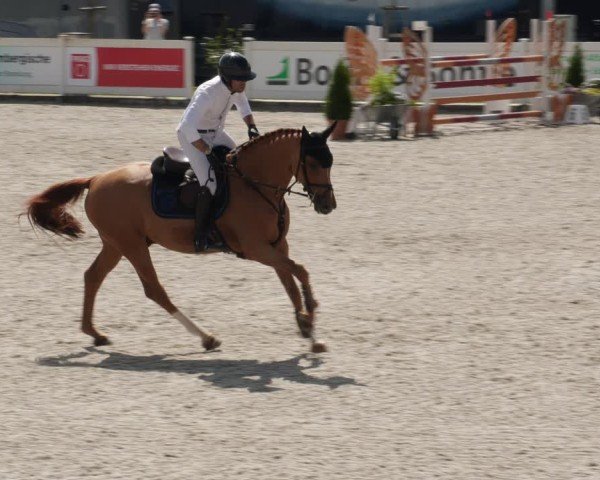 Reitturnier Babenhausen/Schw. 2025