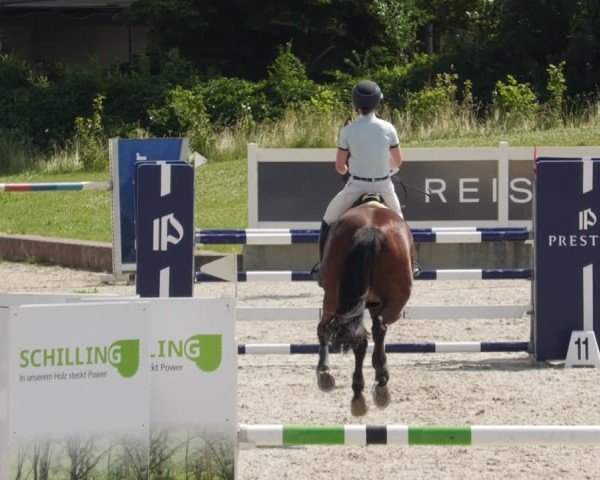 Reitturnier Babenhausen/Schw. 2025