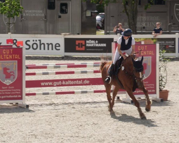 Reitturnier Babenhausen/Schw. 2025
