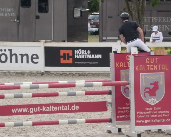 Reitturnier Babenhausen/Schw. 2025
