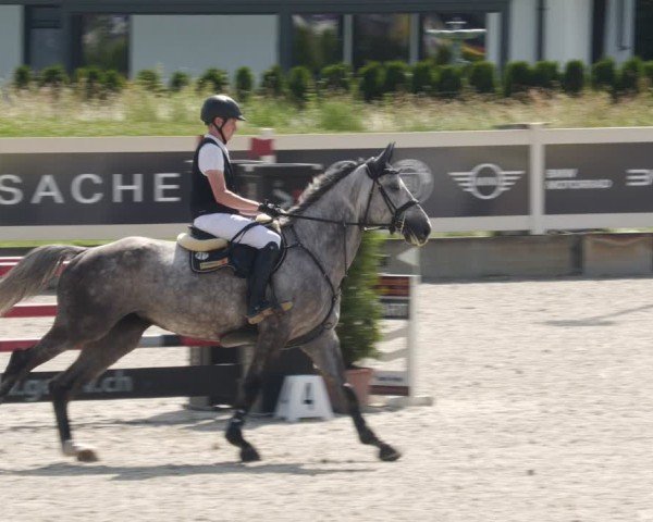 Reitturnier Babenhausen/Schw. 2025