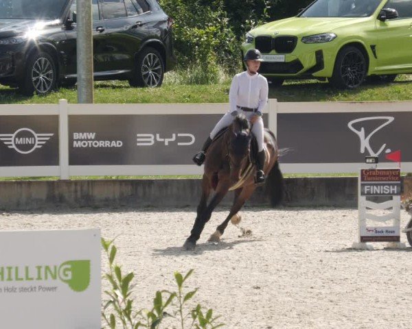 Reitturnier Babenhausen/Schw. 2025