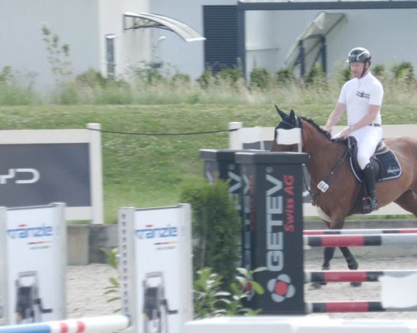 Reitturnier Babenhausen/Schw. 2025