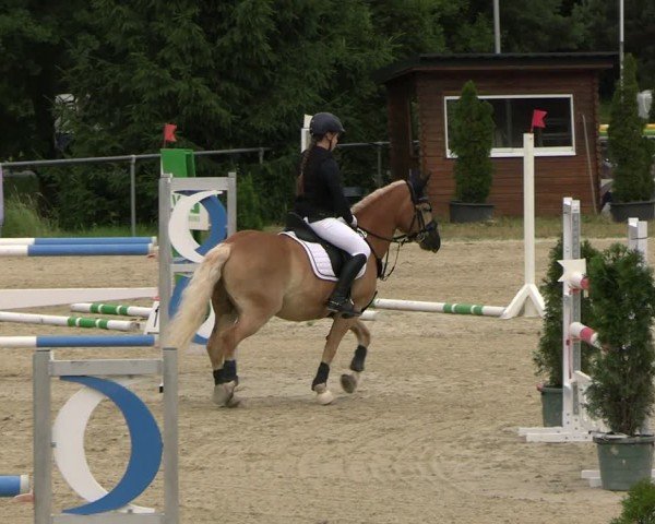 Reitturnier Bad Liebenstein/Sorga 2025