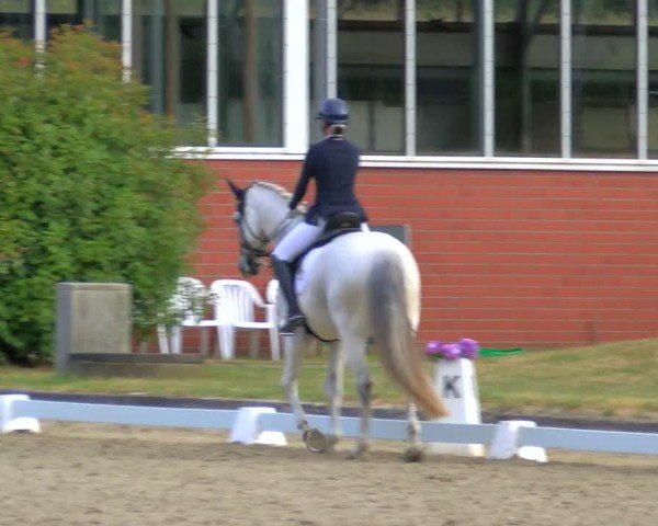 Reitturnier Langenfeld 2025