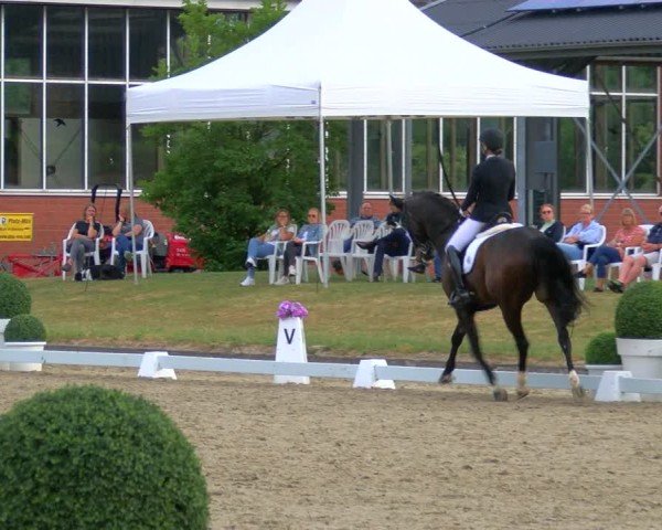 Reitturnier Langenfeld 2025