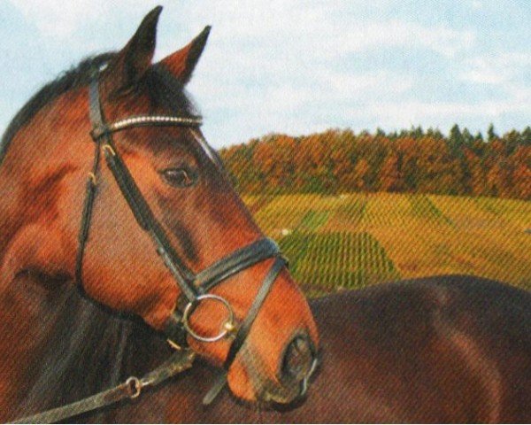 jumper Cha Cha Cha (Württemberger, 2001, from Centesimo I)