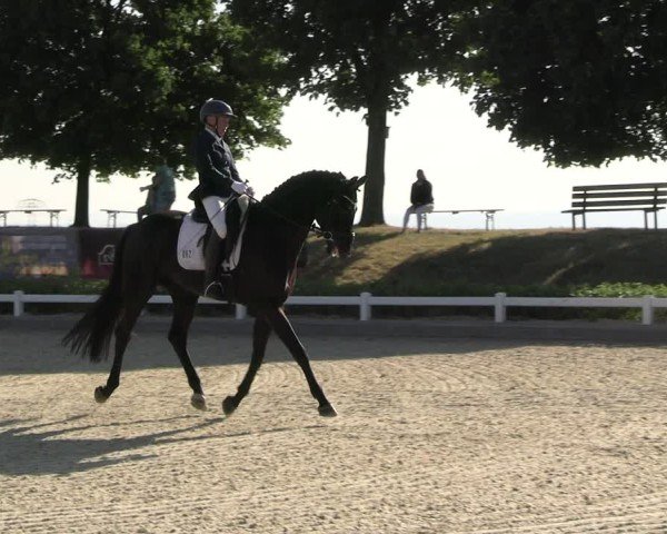 Reitturnier Dresden Gompitz 2025