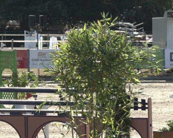 Reitturnier Langenfeld 2025