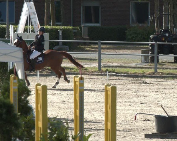 Reitturnier Langenfeld 2025