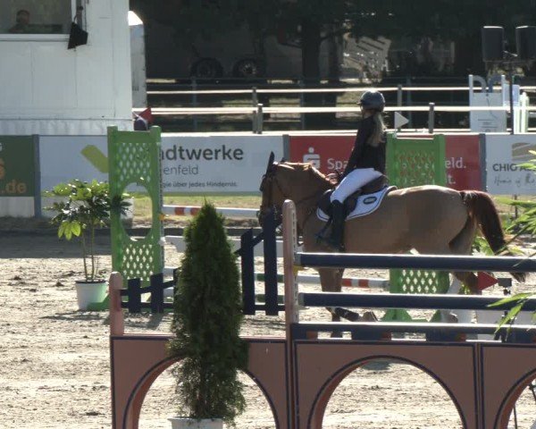 Reitturnier Langenfeld 2025