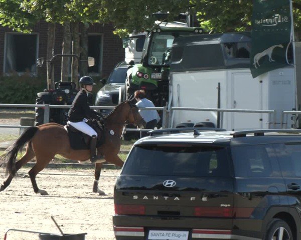 Reitturnier Langenfeld 2025