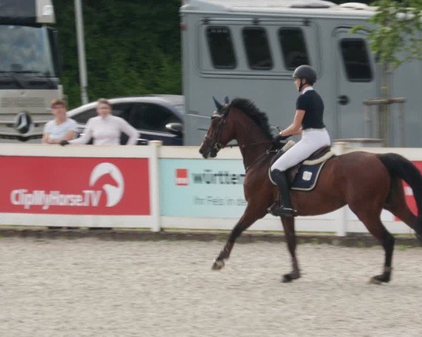 Reitturnier Babenhausen/Schw. 2025