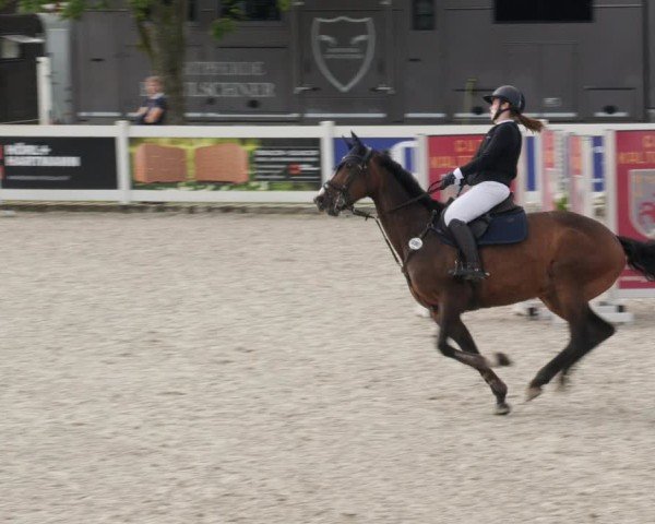 Reitturnier Babenhausen/Schw. 2025