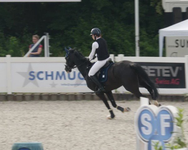 Reitturnier Babenhausen/Schw. 2025