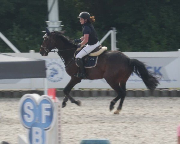 Reitturnier Babenhausen/Schw. 2025