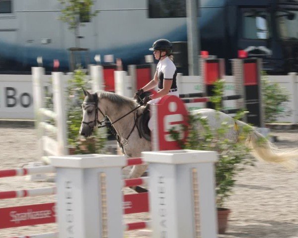 Reitturnier Babenhausen/Schw. 2025