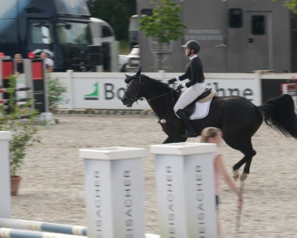 Reitturnier Babenhausen/Schw. 2025