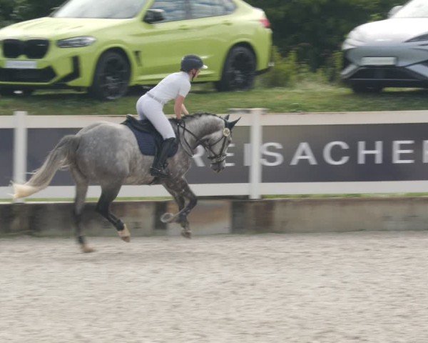Reitturnier Babenhausen/Schw. 2025