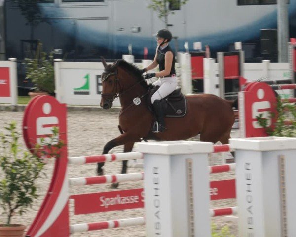 Reitturnier Babenhausen/Schw. 2025