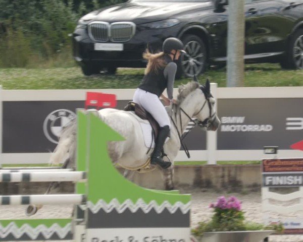 Reitturnier Babenhausen/Schw. 2025