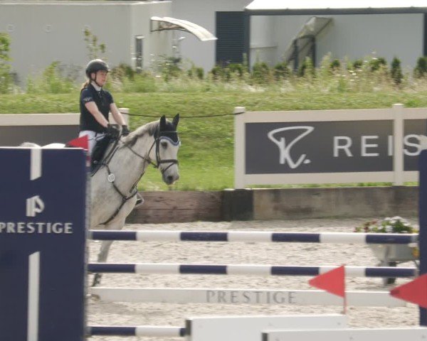 Reitturnier Babenhausen/Schw. 2025