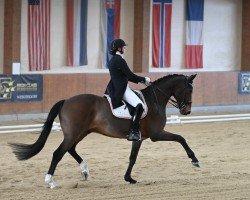 dressage horse Eros Ramazzotti (KWPN (Royal Dutch Sporthorse), 2009, from Westpoint)