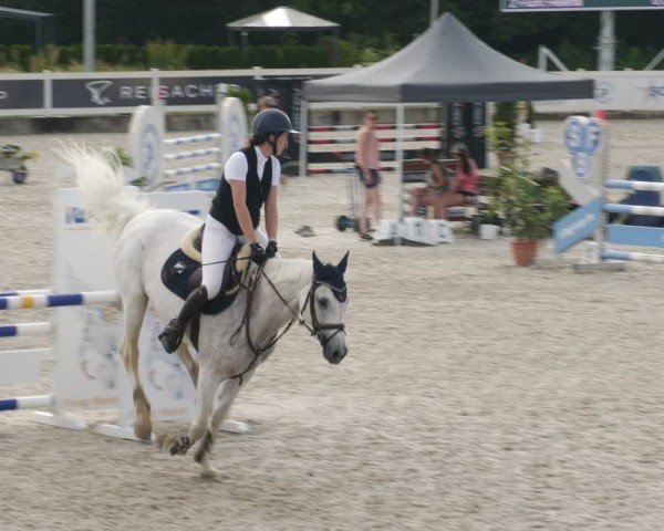 Reitturnier Babenhausen/Schw. 2025