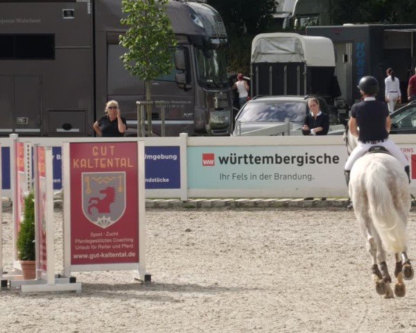Reitturnier Babenhausen/Schw. 2025