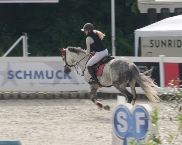 Reitturnier Babenhausen/Schw. 2025