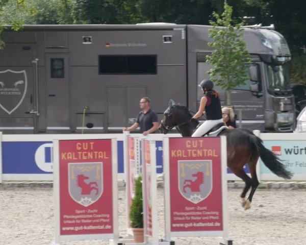Reitturnier Babenhausen/Schw. 2025