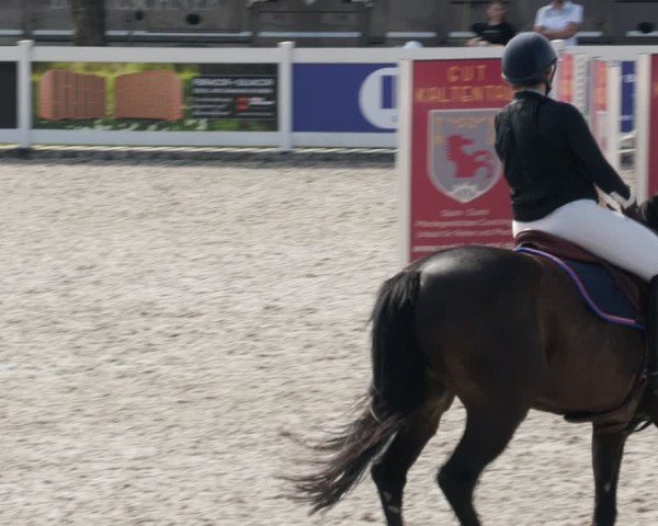 Reitturnier Babenhausen/Schw. 2025