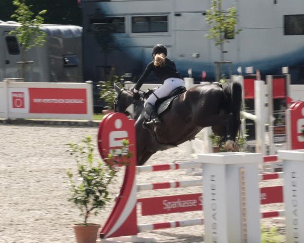 Reitturnier Babenhausen/Schw. 2025