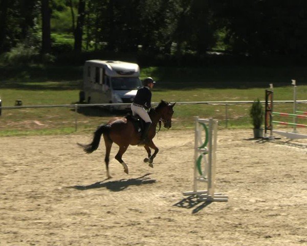 Reitturnier Bad Liebenstein/Sorga 2025