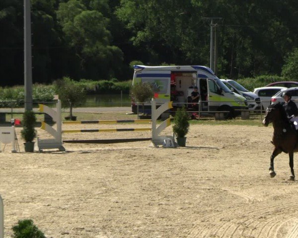 Reitturnier Bad Liebenstein/Sorga 2025