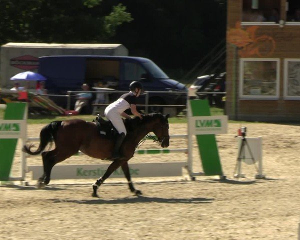 Reitturnier Bad Liebenstein/Sorga 2025