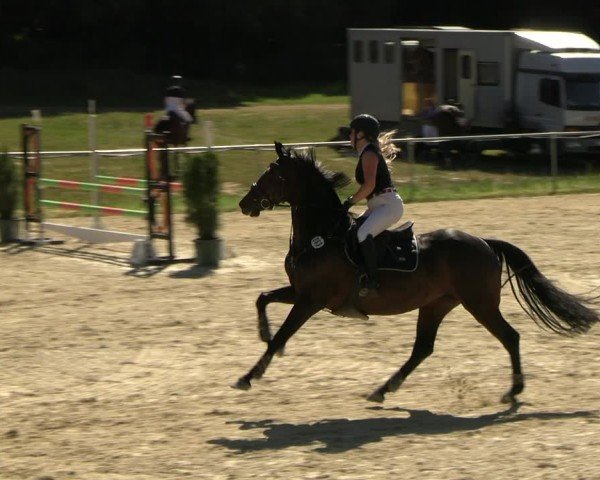 Reitturnier Bad Liebenstein/Sorga 2025