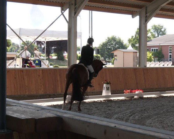 Reitturnier Langenfeld 2025