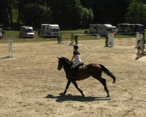 Reitturnier Bad Liebenstein/Sorga 2025