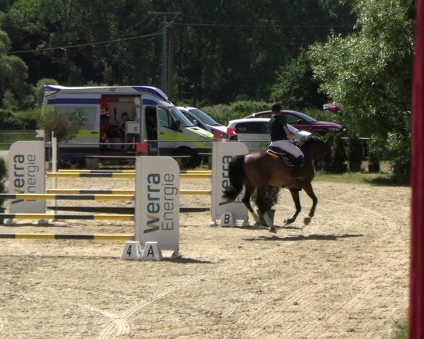 Reitturnier Bad Liebenstein/Sorga 2025