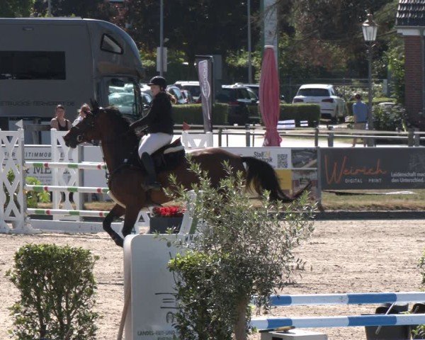 Reitturnier Langenfeld 2025