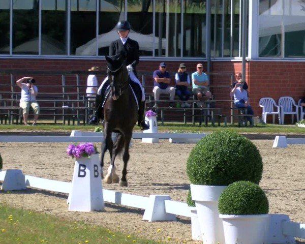 Reitturnier Langenfeld 2025