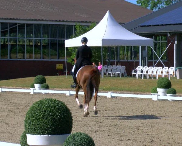Reitturnier Langenfeld 2025
