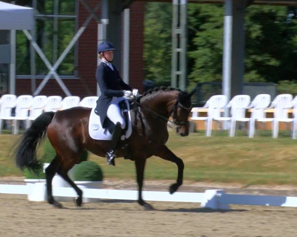 Reitturnier Langenfeld 2025